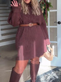 Brown Sweater Turtleneck Dress