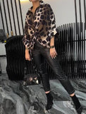 Leopard Print Blouse Top