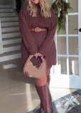 Brown Sweater Turtleneck Dress